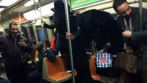 Ratazana instala o caos no metro de Nova Iorque