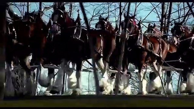 Anúncio Superbowl - budweiser 2