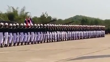 Parada militar em efeito dominó torna-se viral