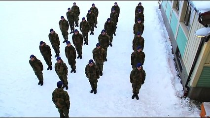 Harlem Shake (original army edition)