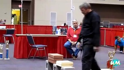 artes marciais falhas