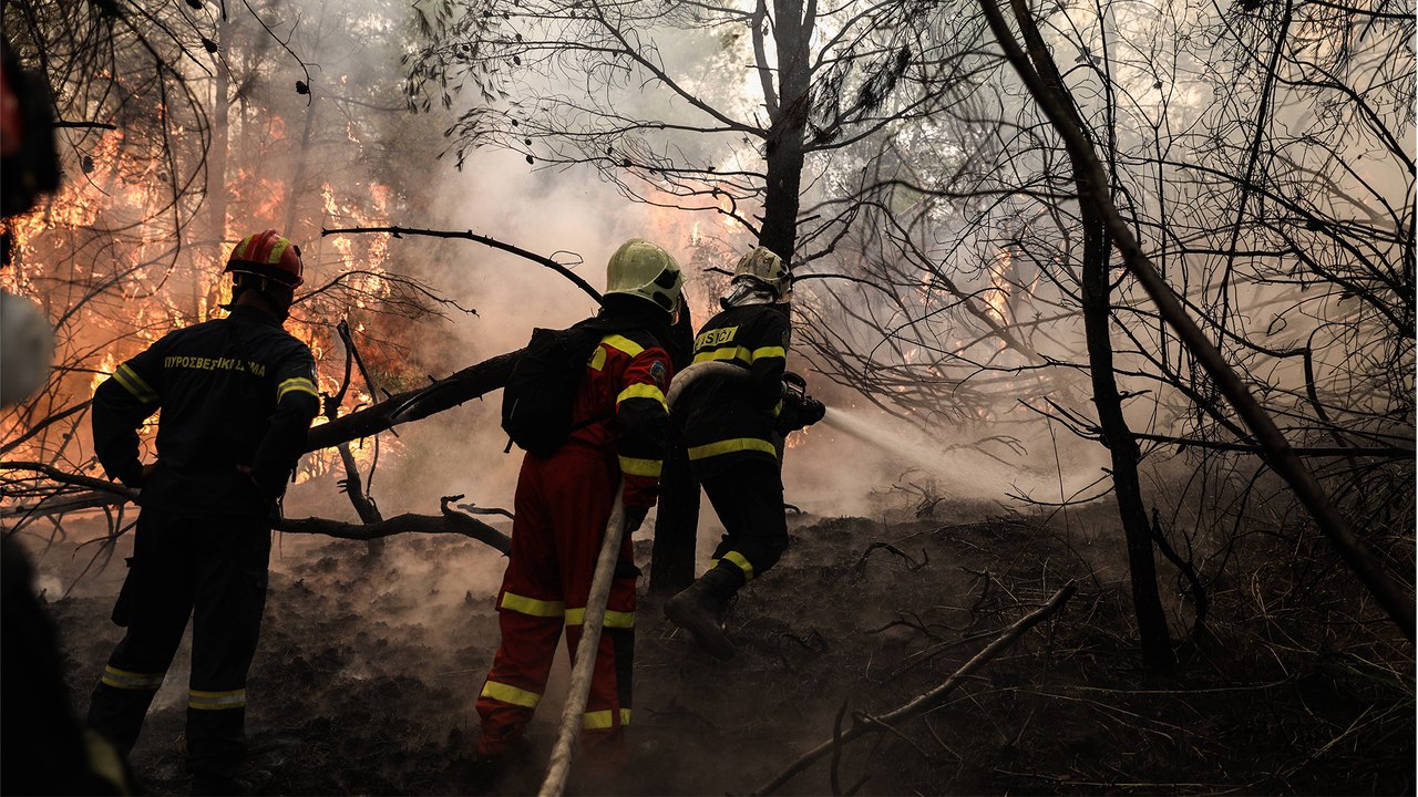 Die Welt brennt - Ein Überblick über die verheerenden Waldbrände