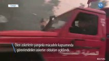 Cezayir'deki Orman Yangınlarında En Az 65 Can Kaybı