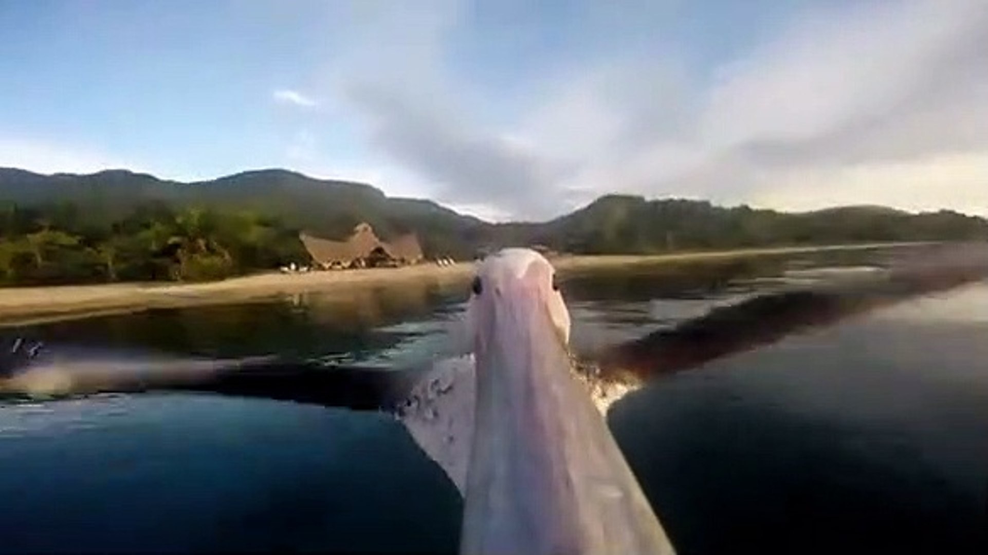 Go Pro filma primeiro voo de pelicano
