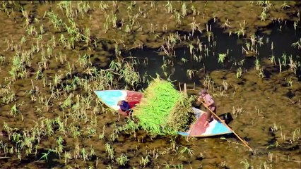 ...مع النظام الجديد يمكن معرفة بيانات حول ا...