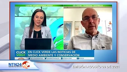 Preocupación internacional por la crítica situación de la gran barrera de coral australiana