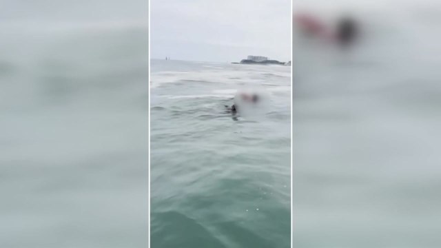 강원 속초항 부근 바다에 빠진 20대 구조...의식불명 / YTN