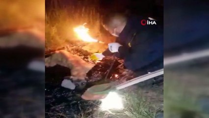 Zift birikintisine düşen köpeği itfaiye ekibi kurtardı