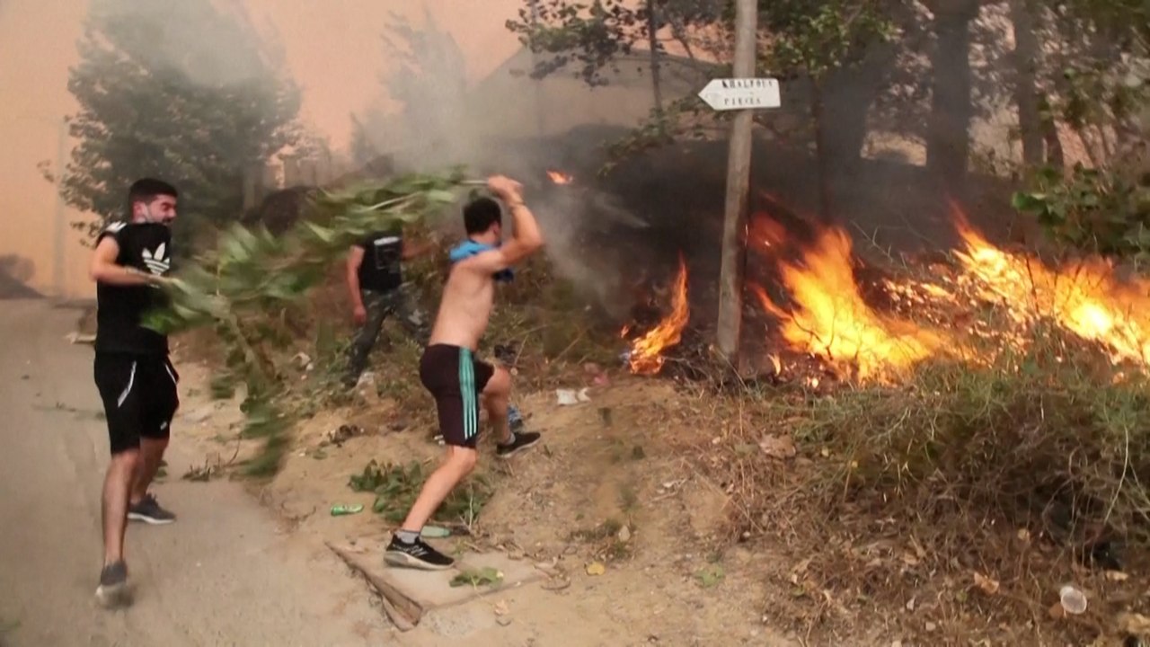 L'Algérie suffoque dans des incendies qui ont fait au moins 65 morts