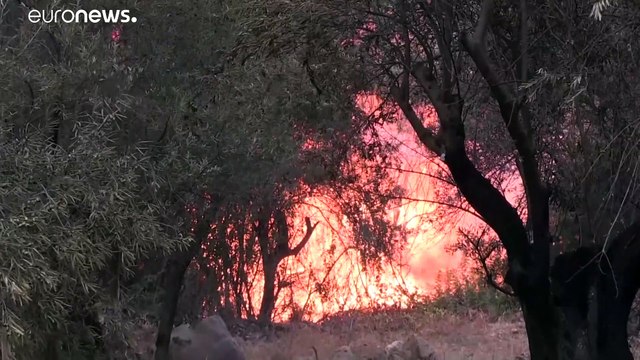 Argelia decreta tres días de luto por los muertos en los incendios