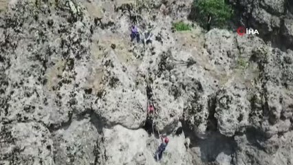 Yaban hayvanların saldırısından kaçan keçileri AFAD ve jandarma ekipleri kurtardı