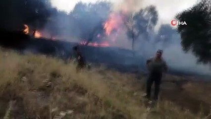 Nazilli’de zirai alanda yangın çıktı