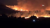 İtalya'da orman yangınları ile mücadele devam ediyorEkipler 12 saatte 300'den fazla noktaya müdahale etti