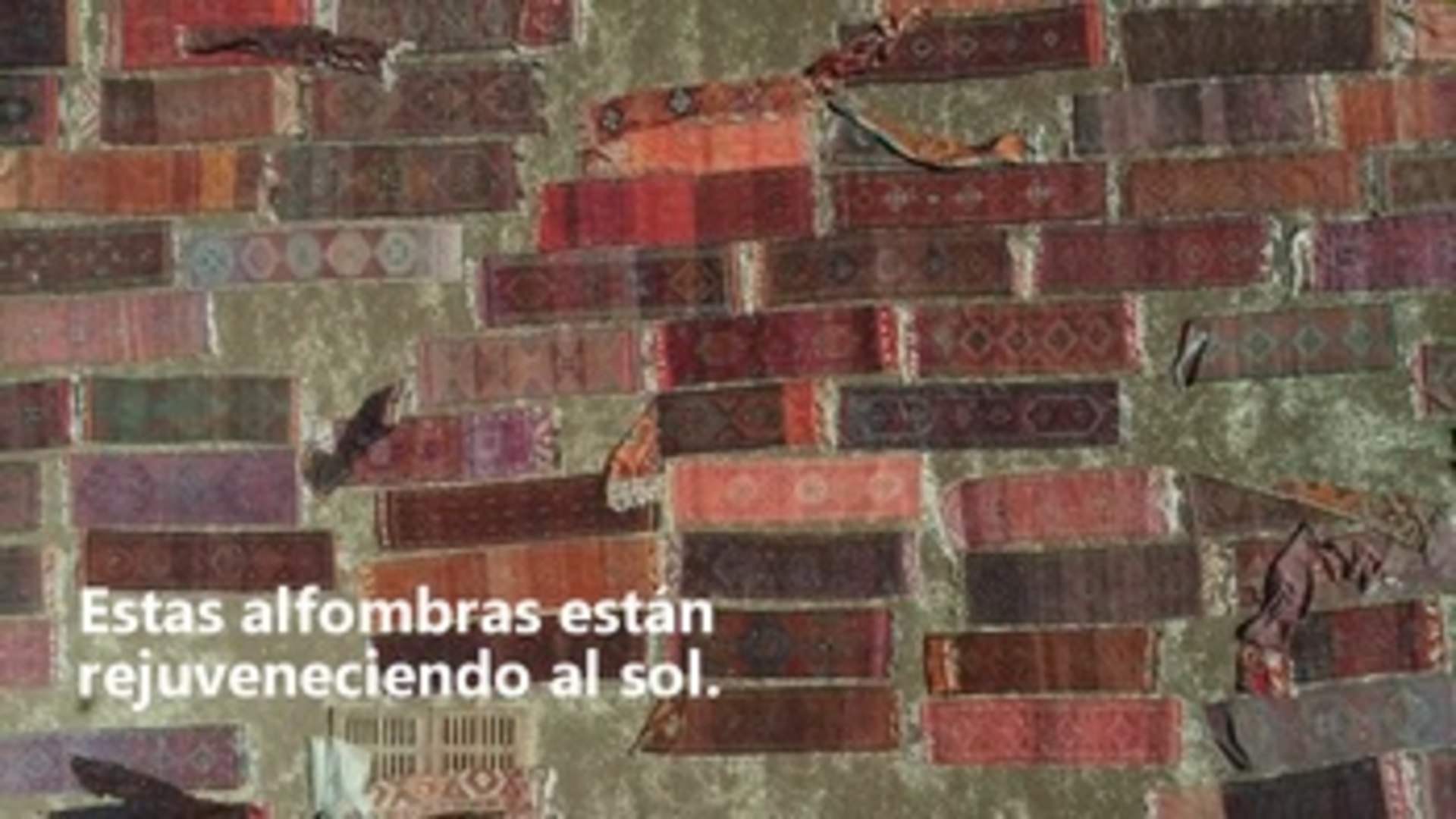 El campo al que peregrinan las alfombras turcas en verano