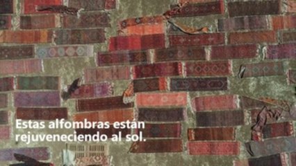 El campo al que peregrinan las alfombras turcas en verano