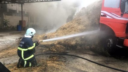 Park halindeki kamyonun kasasındaki samanlar yandı
