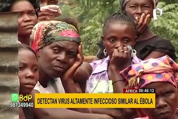 Detectan por primera vez un virus altamente infeccioso similar al Ébola en África
