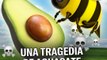 Nuestra obsesión con el aguacate amenaza a las abejas