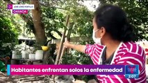 Así enfrentan habitantes de zonas apartadas de Oaxaca a Covid-19