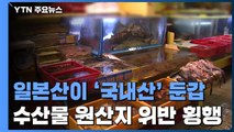 '일본산 참돔' 국내산 둔갑...원산지 위반 무더기 적발 / YTN