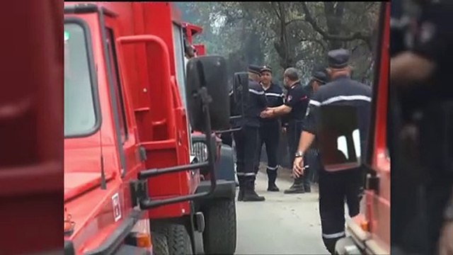 Стихийные бедствия Средиземноморья: траур в Алжире, наводнения в Турции