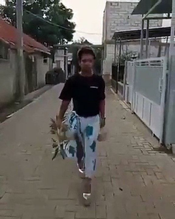 random video