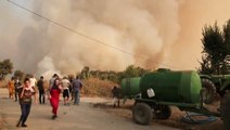Deadly wildfires continue raging across Algeria