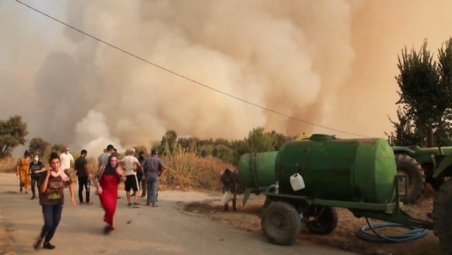 Deadly wildfires continue raging across Algeria
