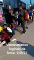 Invasão venezuelana prossege nesta 4a.feira em Pacaraima(RR). Filas e filas de gente com fome, fugindo de Maduro