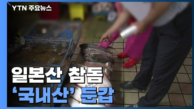 일본산 참돔 '국내산' 둔갑...원산지 위반 '무더기' 적발 / YTN