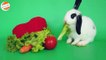 White Rabbit Eating Lettuce And Carrot