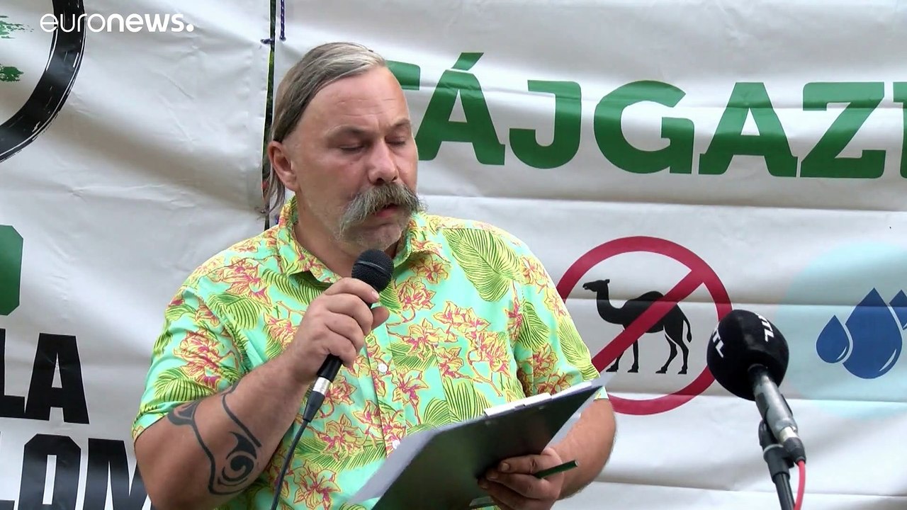 Kamele vor dem Parlament: 'Green Guerilla' warnt vor Versteppung Ungarns