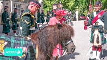 Queen Elizabeth Looks Thrilled To Begin Summer Vacation At Balmoral Castle