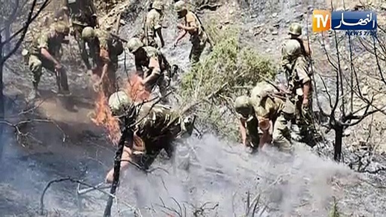 الجيش الوطني الشعبي.. حماة الوطن.. تضحيات بالنفس والنفيس لإنقاذ الأرواح