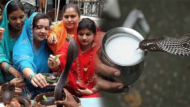 Nag Panchami 2021: नाग पंचमी पर नाग देवता को दूध पिलाने से क्या होता है | Boldsky