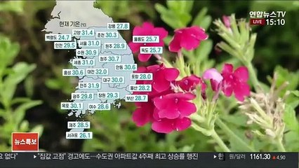 [날씨] 30도 안팎 무더위 계속…제주·남해안 많은 비