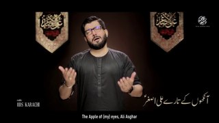 Haye Haye Ali Asghar (as) | हाय हाय अली असगर | Mir Hasan Mir Nohay 2021 | New Nohay 2021  |  Karbala e Mualla