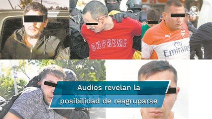 Cártel  de Tepito busca reagruparse en CDMX #EnPortada