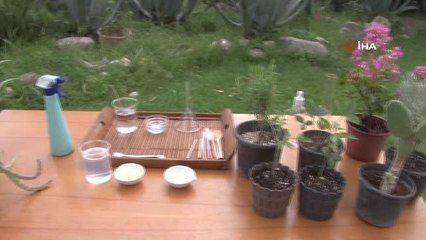 Korona virüs salgını 'Balkon Bahçeciliği'ne olan ilgiyi artırdı