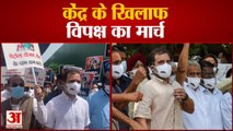 Parliament To Vijay Chowk तक Opposition का मार्च, Rahul Gandhi बोले-सरकार कर रही लोकतंत्र की हत्या