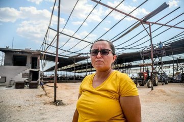 5 dönümlük çiftlik, gebe ineklerle 5 dakikada kül oldu