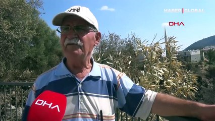 5 milyon lira gelir getiren defne sahası yandı