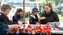 Adelaide school helping pets whose owners flee violence