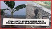 Viral Batu Nisan Kuburan di Tengah Jalan, Alasan di Baliknya Bikin Miris