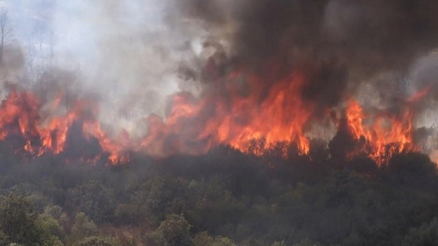 Kebakaran Hutan di Sejumlah Negara Telan Korban, Di Aljazair 65 Orang Meninggal