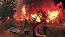 Villagers in Algeria desperately use water hoses and tree branches to battle encroaching wildfires which have left 65 people dead