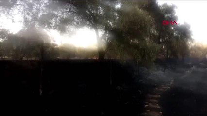 Tartıştığı oğlunu makasla yaraladı