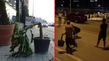 Birbirine giren 2 grubun bariyer ve muz ağaçlı kavgası kamerada