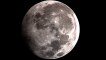 Chim Đại Bàng bay ngang mặt trăng | Eagle under telescope  #Người_Miền_Quê