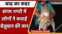 Prayagraj Floods: बाढ़ में फंसे Dogs का स्थानीय लोगों ने किया Rescue, देखिए वीडियो | वनइंडिया हिंदी